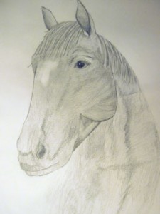 Horse